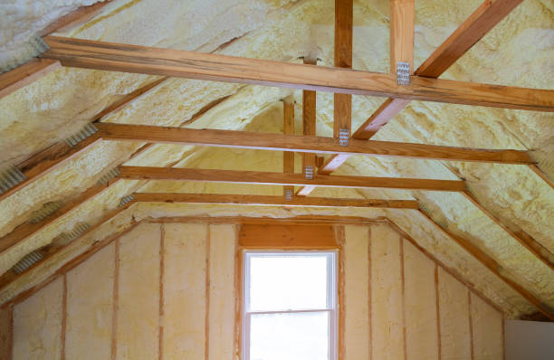 Best Types of Insulation in Rancho Laveras, CA