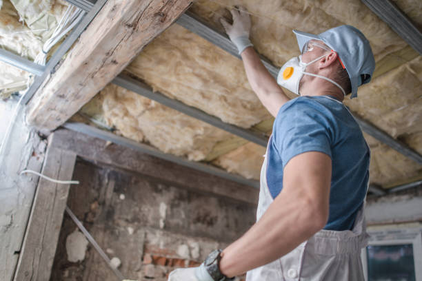 Best Insulation Materials and Products in Rancho Laveras, CA